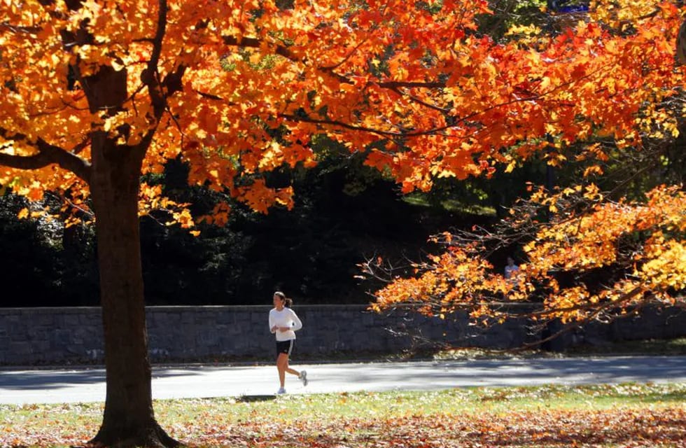 Travel Trip Autumn Anytime - ** FILE ** In this Nov. 7, 2005 file photo, a jogger is framed by trees covered in fall leaves while running through New York's Central Park. (AP Photo/Mary Altaffer) nueva york eeuu  otoño por  central park gente haciendo ejercicio eeuu clima comienzo otoño