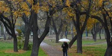  La humedad ha sido omnipresente en este otoño mendocino, ya que abril también había sido récord de lluvias.