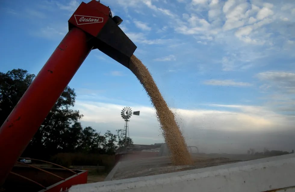 Analizan extender a Mendoza la siembra de soja y maíz
