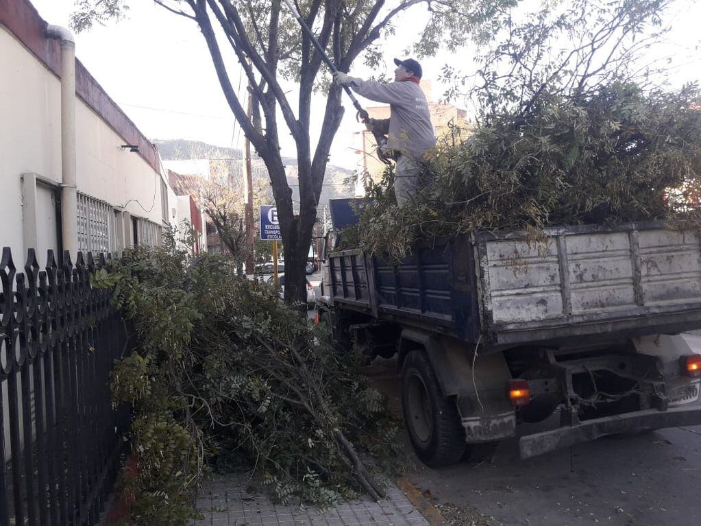 Recolección de ramas y tareas de poda en Carlos Paz.