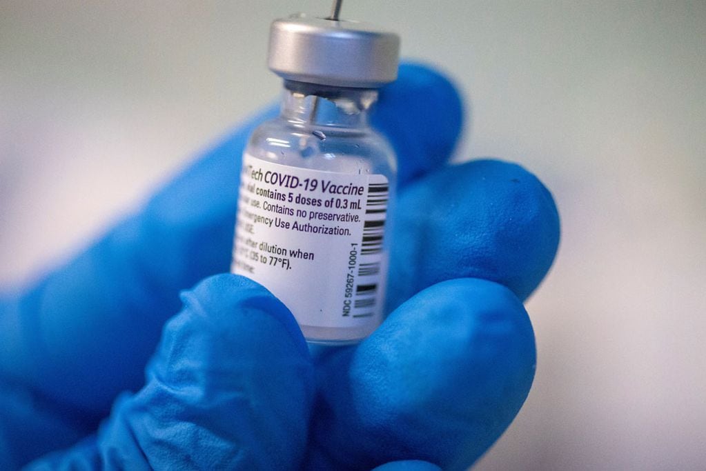 Vacuna de Pfizer-BioNTech. (AP/Ariel Schalit/Archivo)