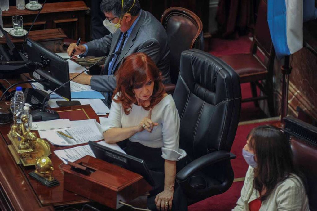 Cristina Fernandez de Kirchner en el Senado (Foto: Federico Lopez Claro)