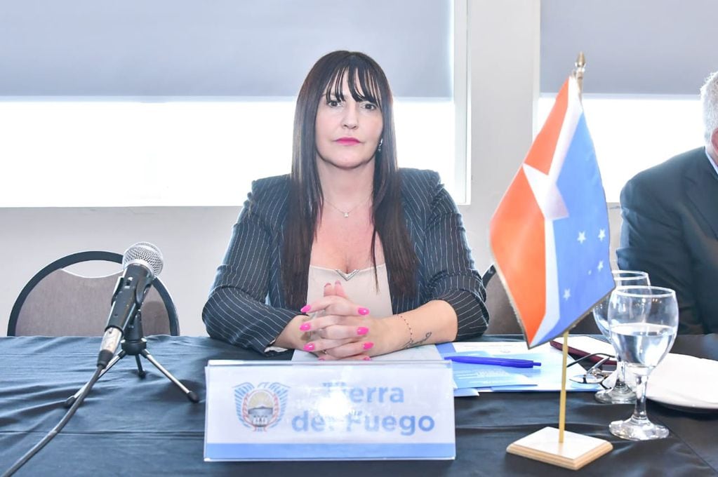 Tierra del Fuego participó de la 124° Reunión Plenaria del Consejo Federal del Trabajo