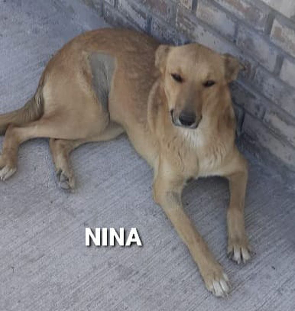 Nina.