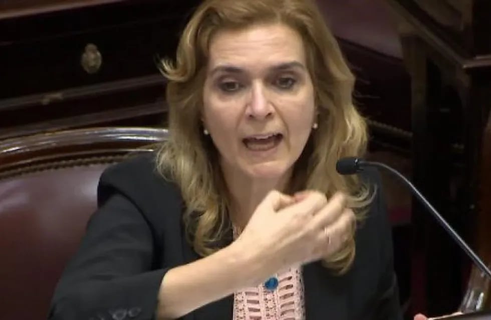 Elías de Pérez fue la única senadora tucumana que votó a favor del Presupuesto 2019.