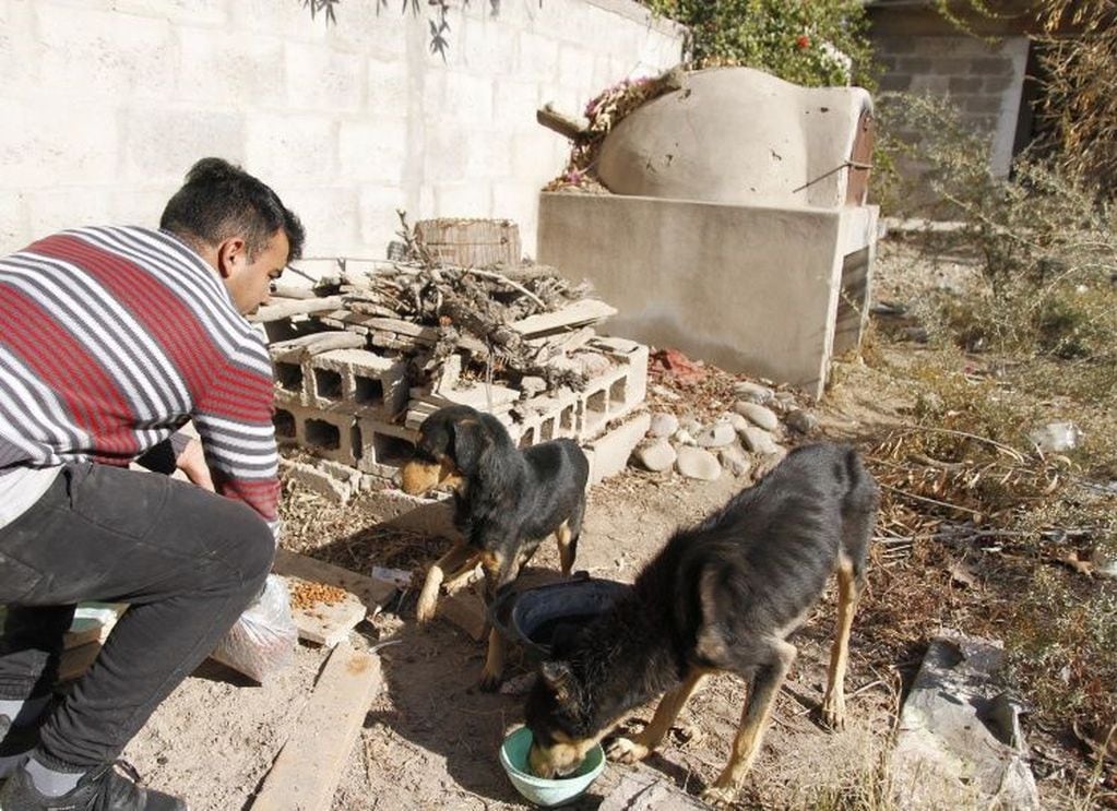 Juan Manuel Espejo, un vecino, se hace cargo de alimentarlos.