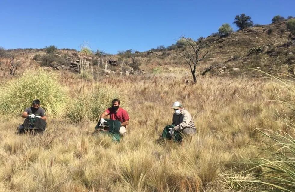 Liberación de aves silvestres en San Luis