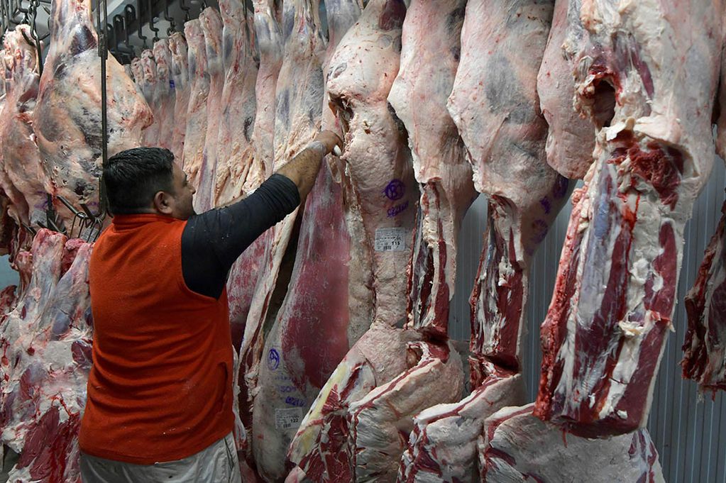 La exportación de carnes estará prohibida hasta 2023. Foto: Clarín.