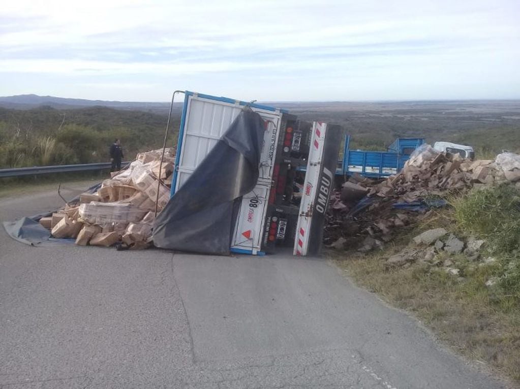 Así quedó el camión luego de estrellarse contra una montaña, sobre ruta E96 km 17 1/2.