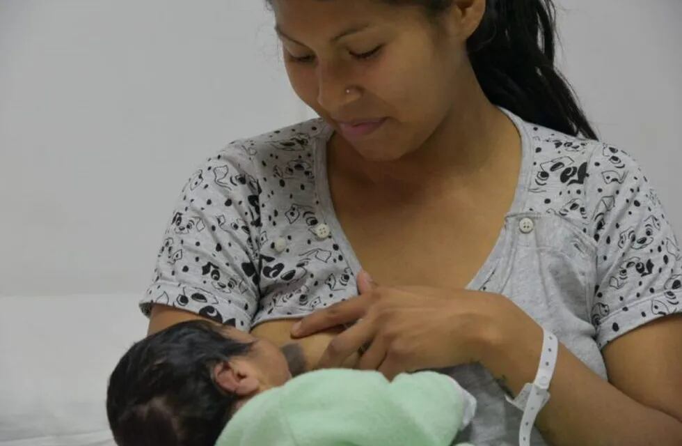Presentaron el Plan Integral de Salud Perinatal e Infantil, en Jujuy