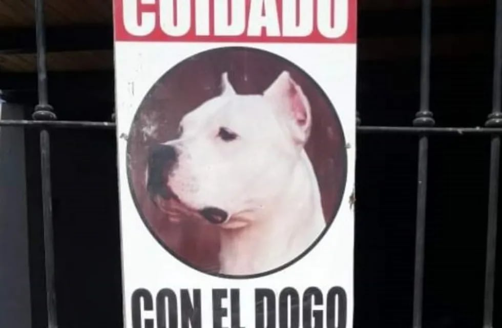 Roco, el perro guardián de una familia sanjuanina.