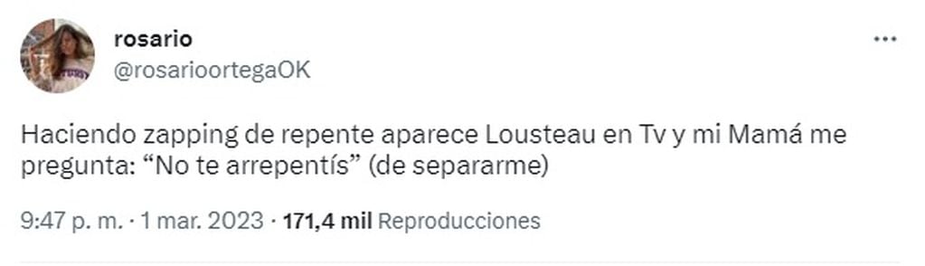 El tuit de Rosario Ortega sobre Martín Lousteau.