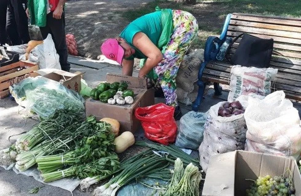 La venta de verdura en Plaza Independencia fue organizada por la Unión de Trabajadores de la Tierra.