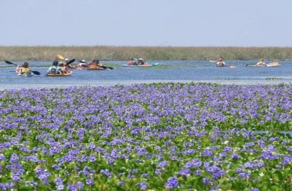 Corrientes es la primera provincia en habilitar el turismo.