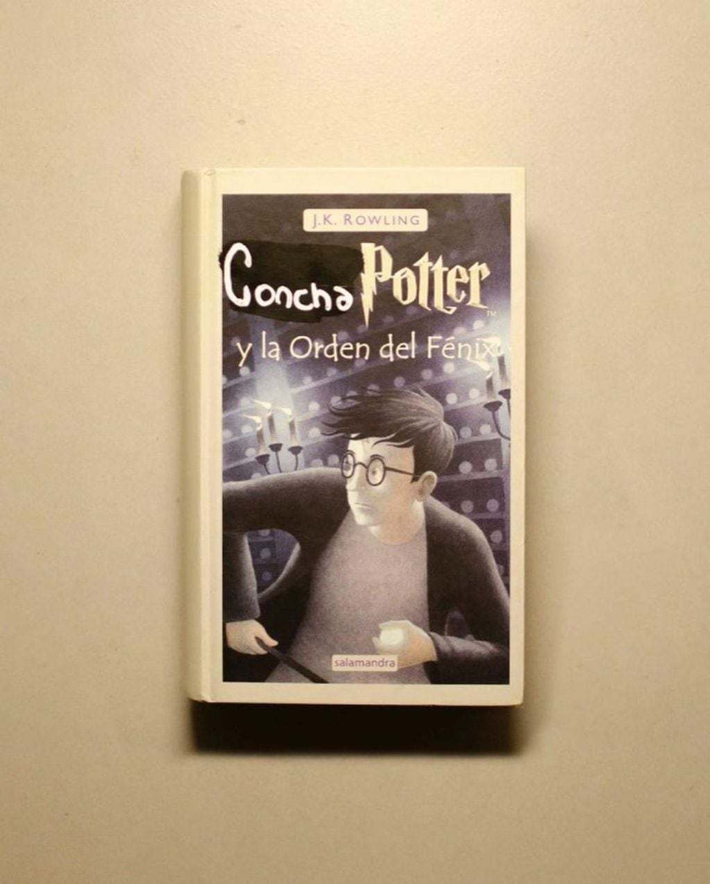 Santiago Maratea lanzó una colección de libros llamada "Concha Potter" y los haters lo criticaron
