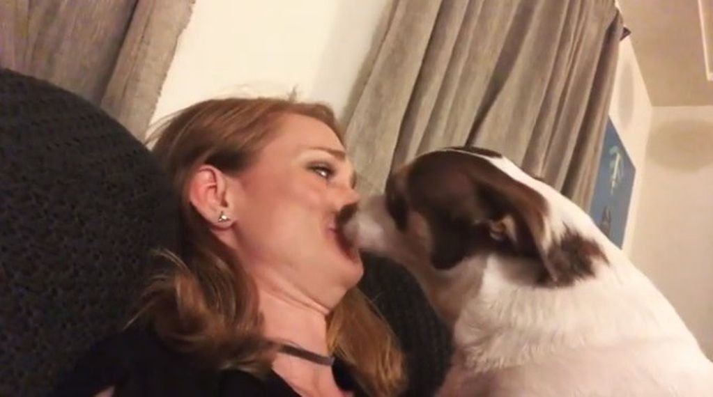 El perro que odia que lo besen (Captura de video)