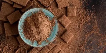 Cocoa en polvo
