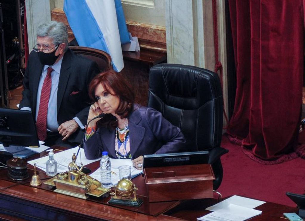Cristina Kirchner durante la sesión en el Senado. (Foto: Federico López Claro)