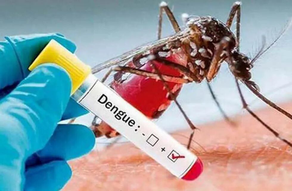 Prevención Aedes aegypti -\nCrédito: Web