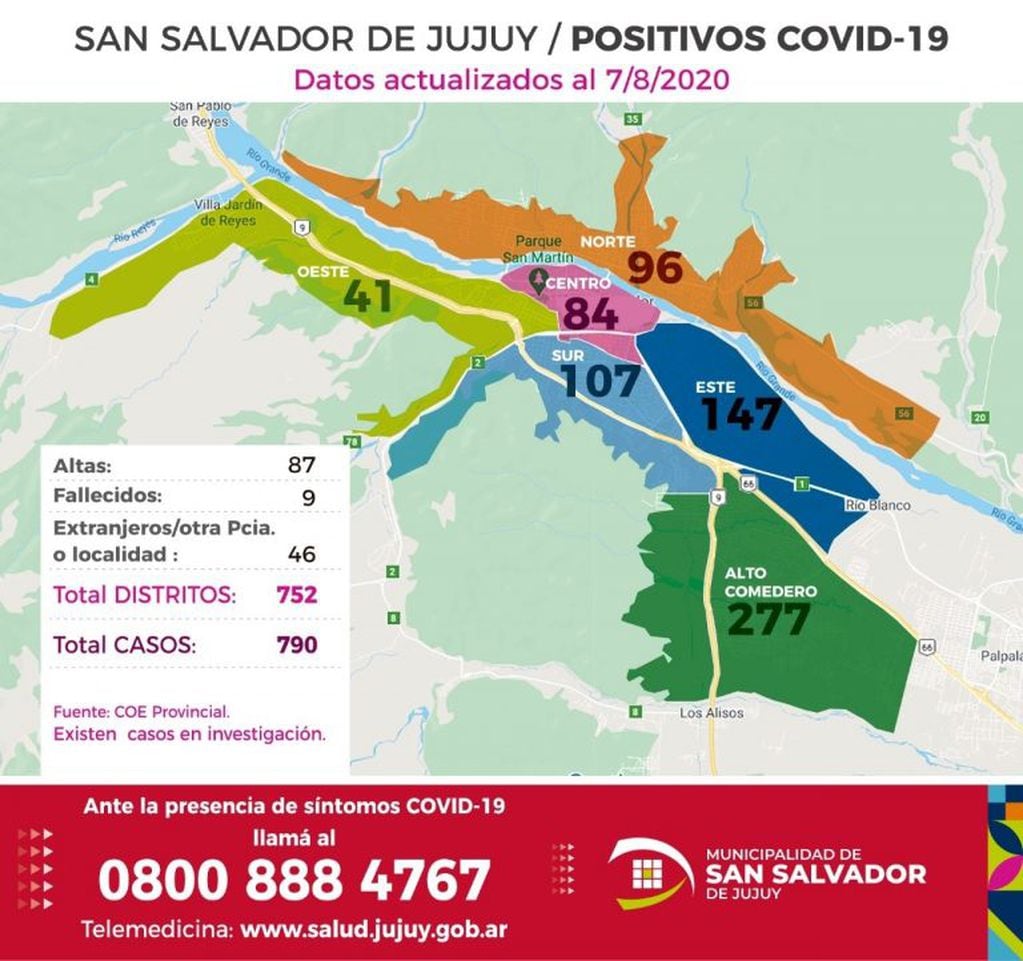 Infografía que muestra el número de casos positivos registrados en San Salvador de Jujuy, desde el inicio de la pandemia.