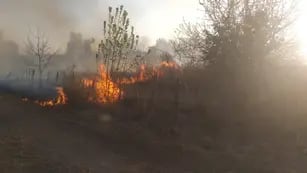 Incendio en San José