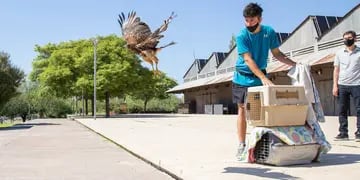 Liberación de aves en Ciudad de Mendoza