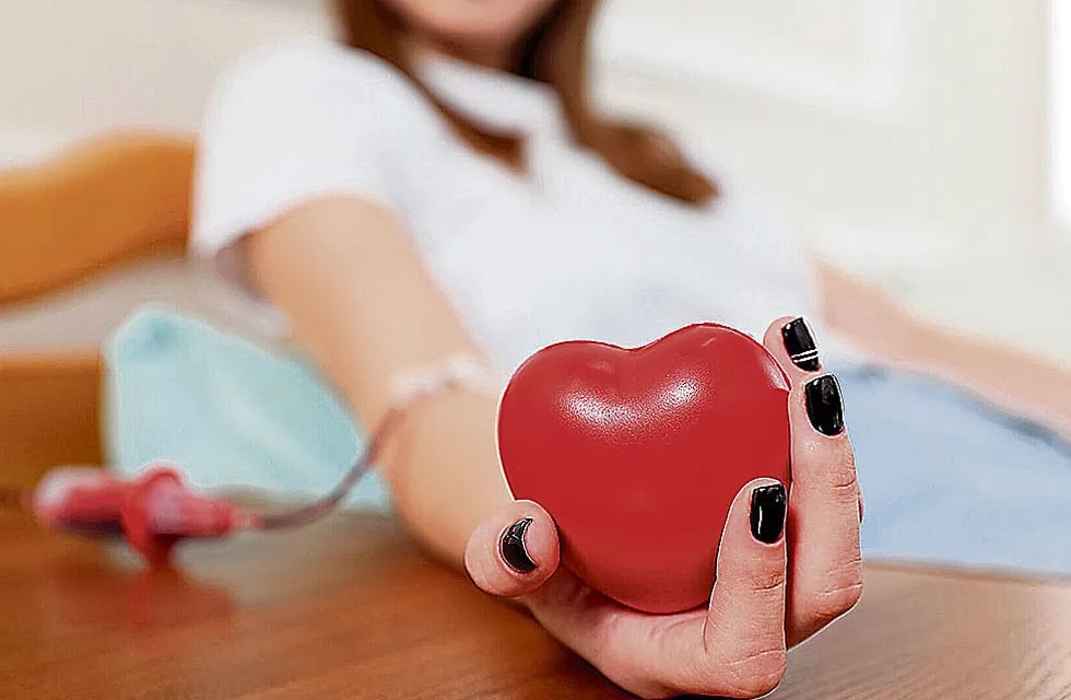 Las campañas de concientización de voluntarios donantes da más resultado que la responsabilidad de devolución de quienes necesitan del banco de sangre. / Fecescor