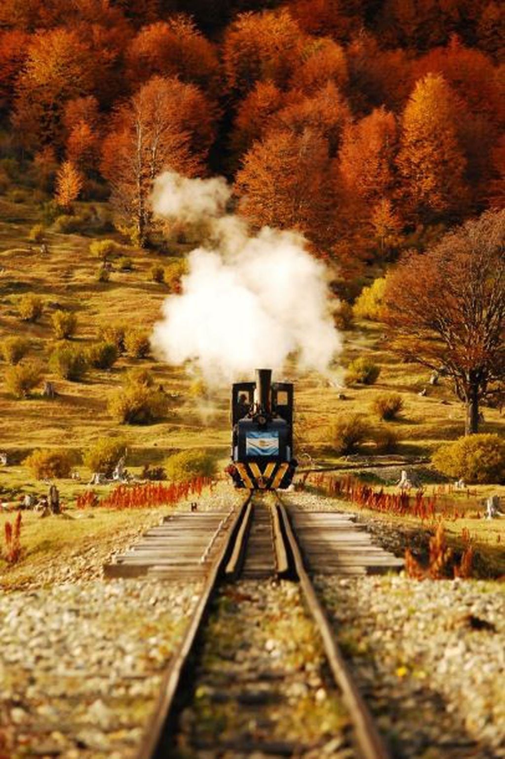 Foto ganadora segunda edición "Nuestra Argentina en Fotos". Tren del Fin del Mundo (Parque Nacional Tierra del Fuego). Créditos: Luca Armandi.