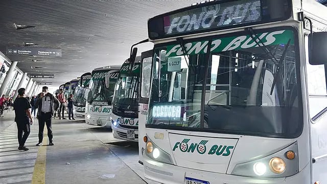 Transporte Fono Bus