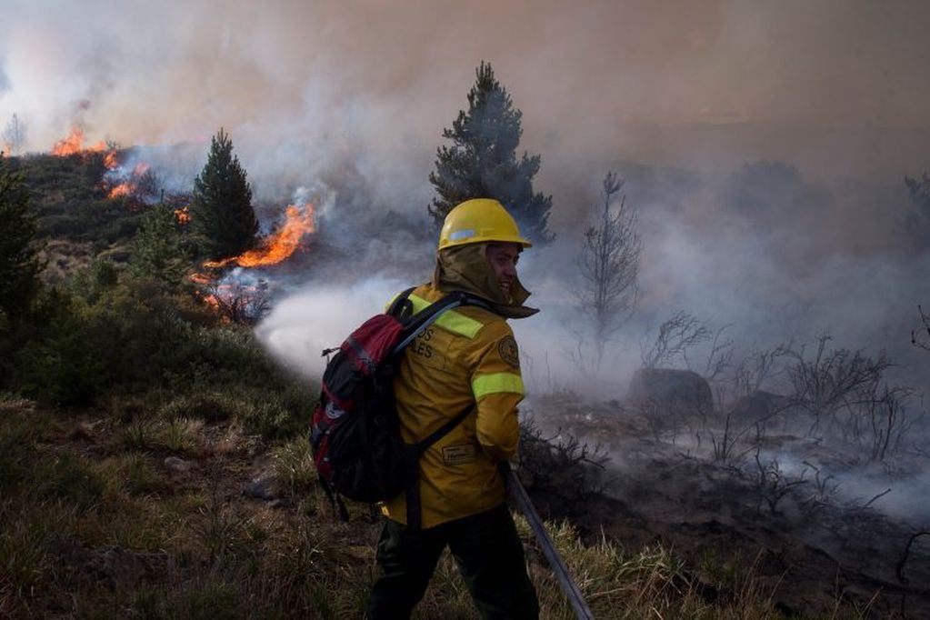 Confirmaron que el incendio afectó 49 hectáreas (Diario Río Negro).