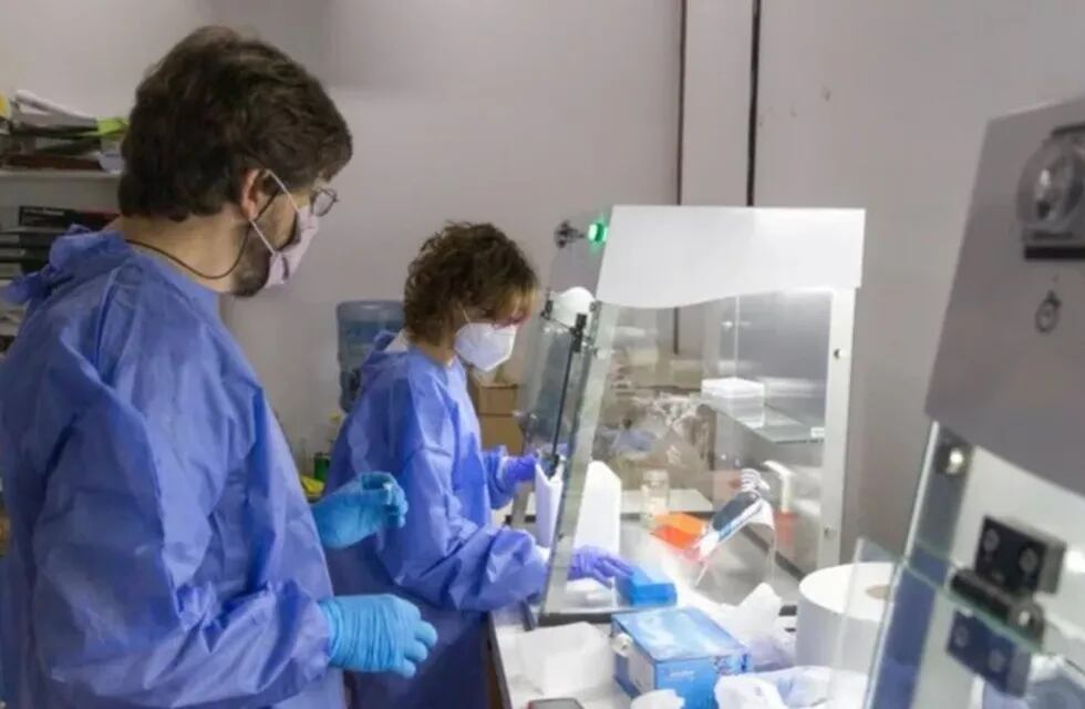 Los investigadores Maximiliano Juri Ayub y Jimena Manzur que integran el Área de Biología Molecular del Departamento de Biología de la Facultad de Química, Bioquímica y Farmacia. Gentileza UNSL