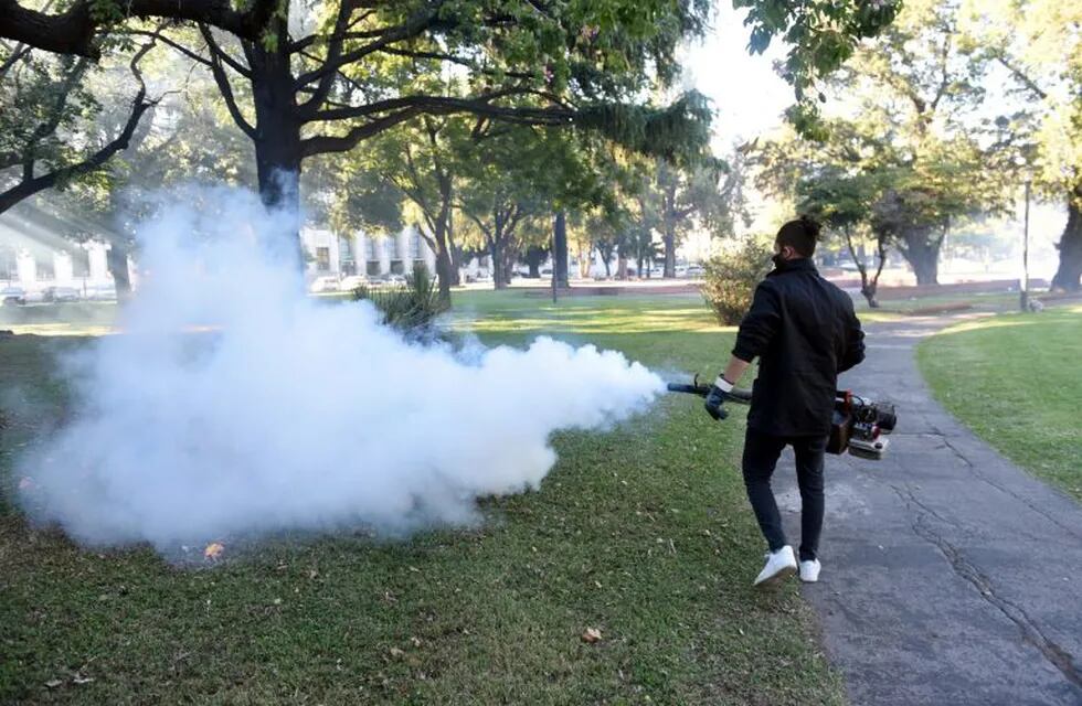 Son 1102 loas casos confirmados de dengue en Rosario (Municipalidad de Rosario)