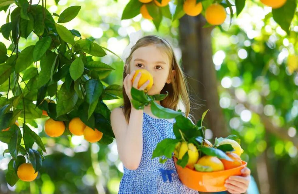 Llegó la hora de los frutales