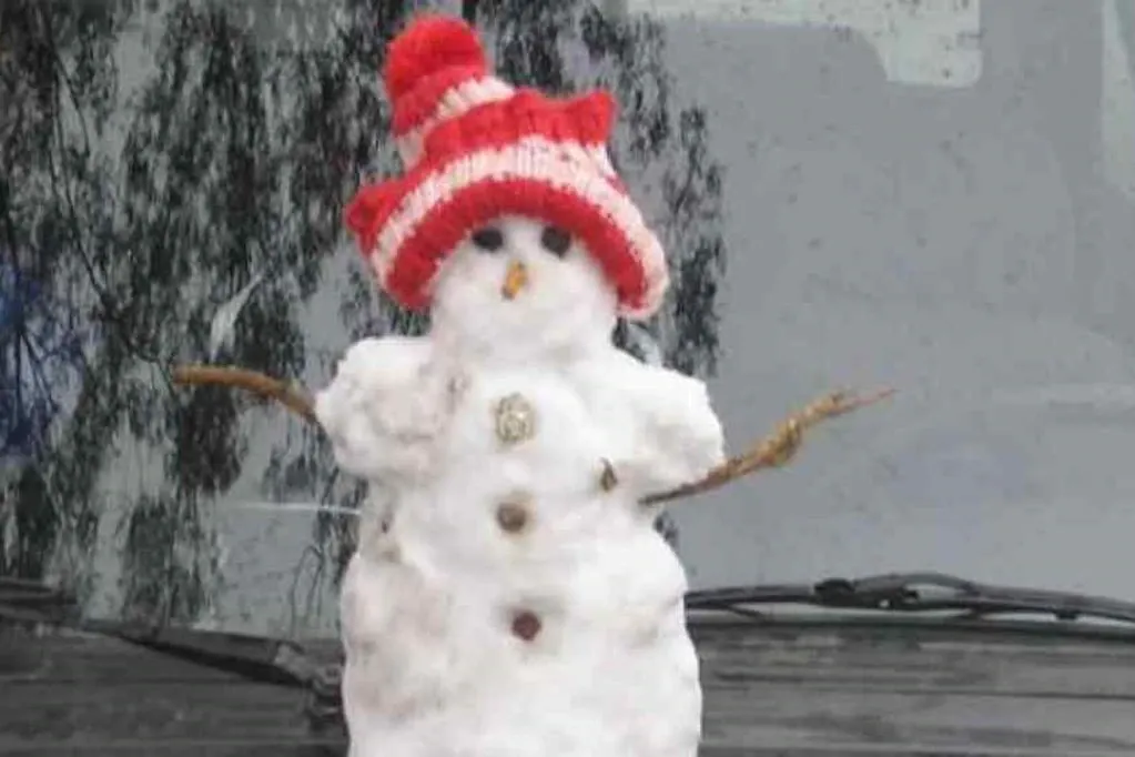 El muñeco que nació con la nevada de 2007 en Córdoba Capital.