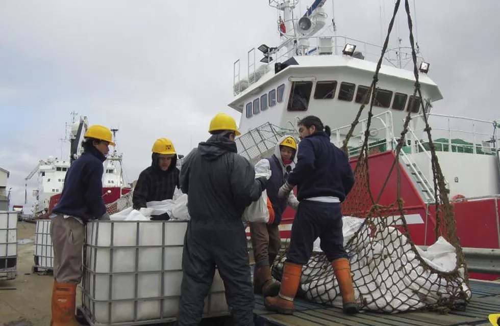 Trabajadores descargan pescado de un barco en Puerto Stanley. (AP)