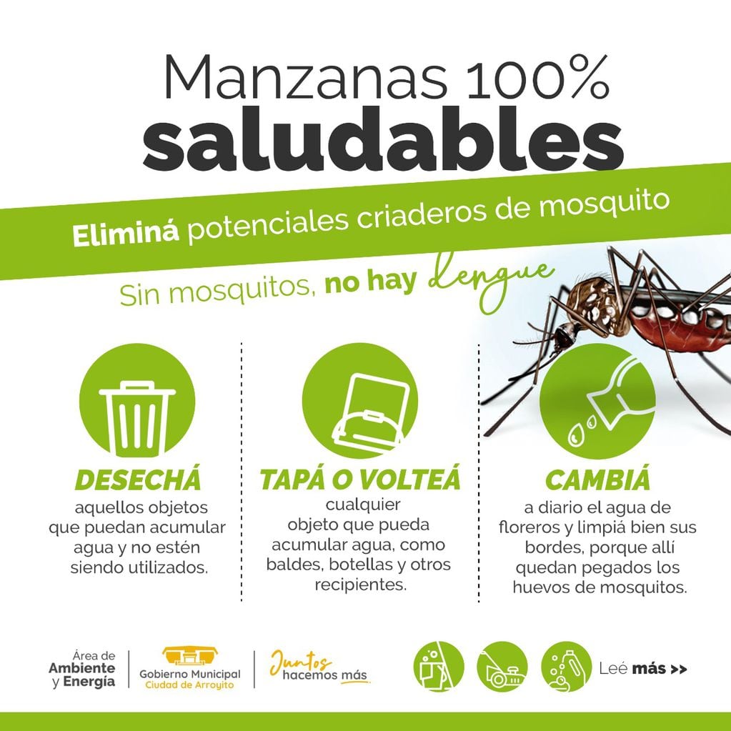 mosquitos y alacranes en Arroyito