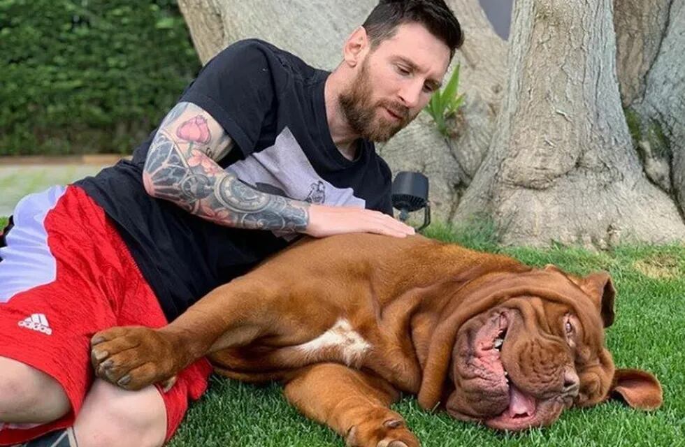La tierna imagen de Messi junto a Hulk, su mascota. (Instagram)