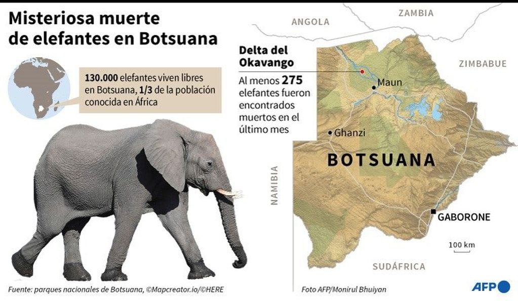 Mapa de Botsuana localizando el delta del Okavango, donde al menos 275 elefantes murieron en condiciones misteriosas - AFP / AFP