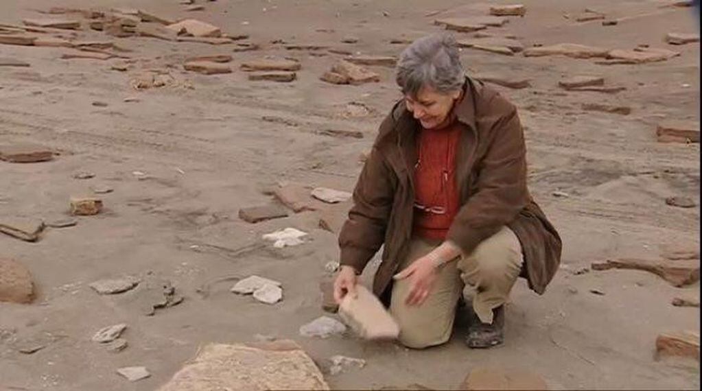 Teresa Manera, paleontóloga y geóloga