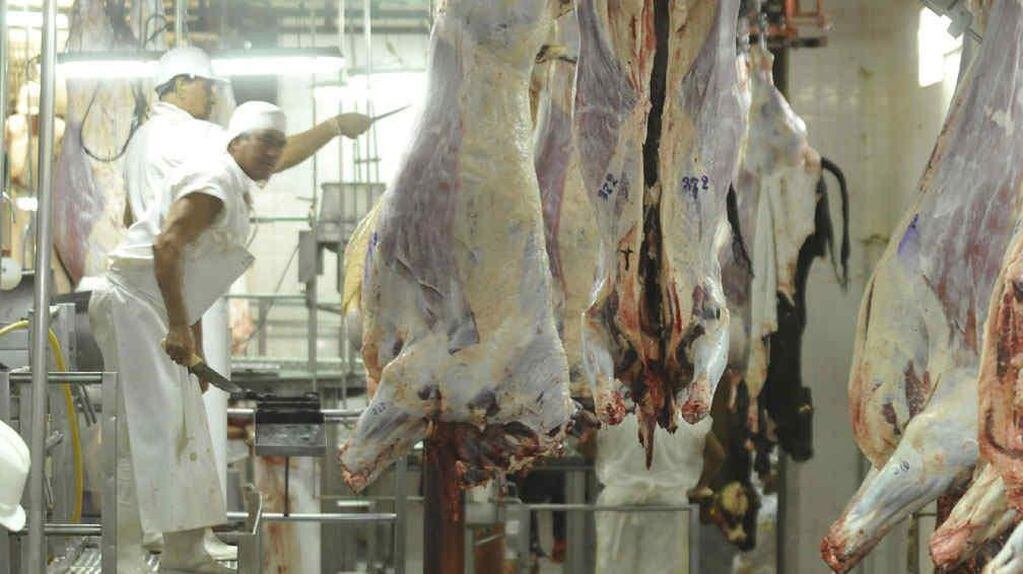 El campo anuncia un paro de ocho días por el cierre de las exportaciones de carne (La Voz).