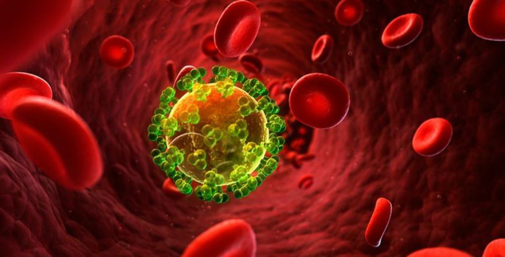 Científicos lograron eliminar el virus del HIV en ratones (Foto: Getty Images)