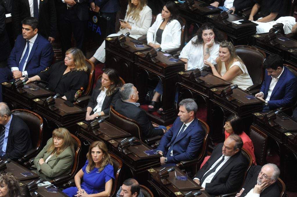 La apertura de sesiones ordinarias en el Congreso. (Federico López Claro / La Voz)