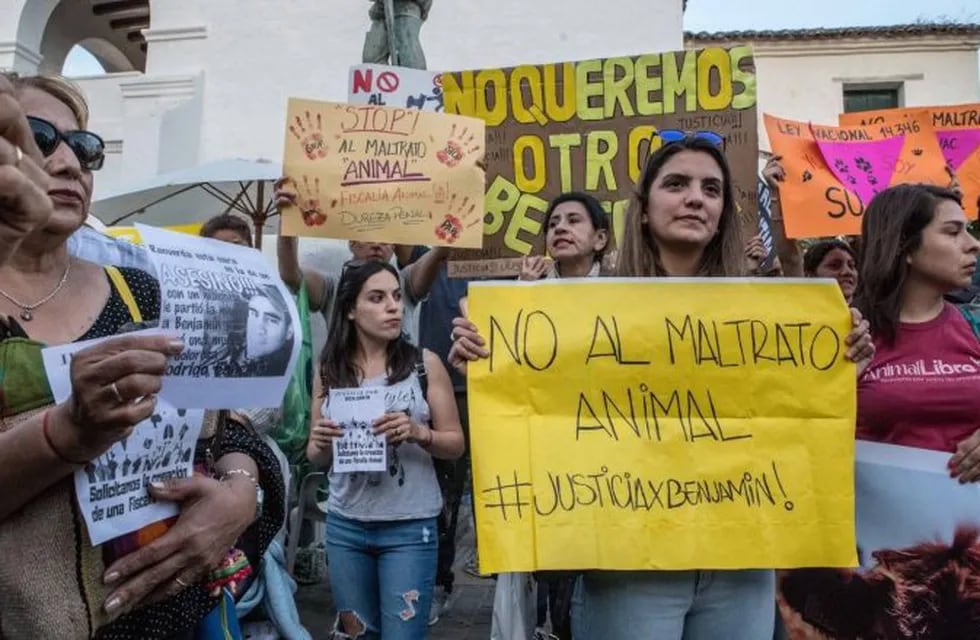 La marcha para pedir justicia por el perro ( Andrés Mansilla. El Tribuno)