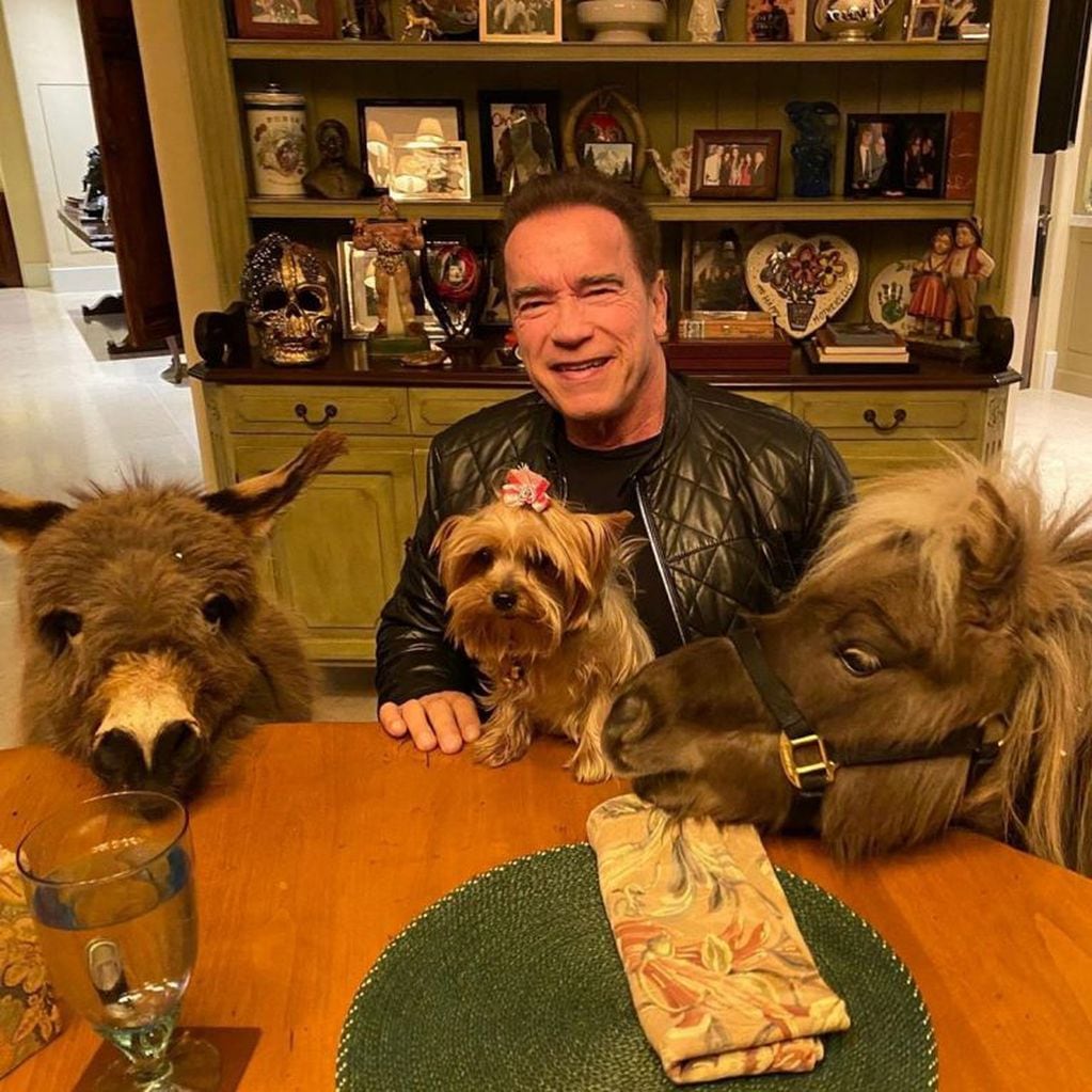 Arnold Schwarzenegger junto a sus mascotas en su casa en California.