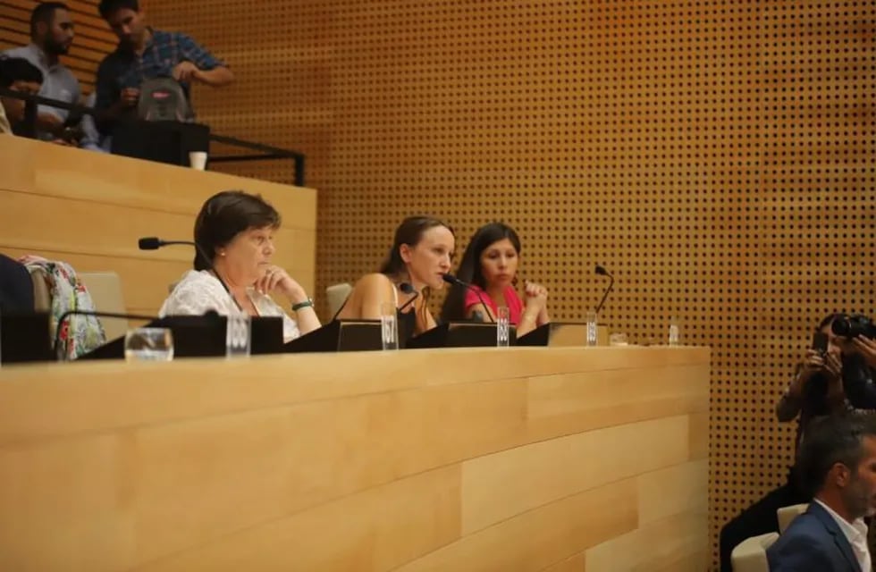 Luciana Echevarría habló en la legislatura.