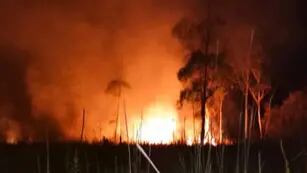 Bomberos Voluntarios de Pérez colaboraron en un incendio forestal en Zavalla