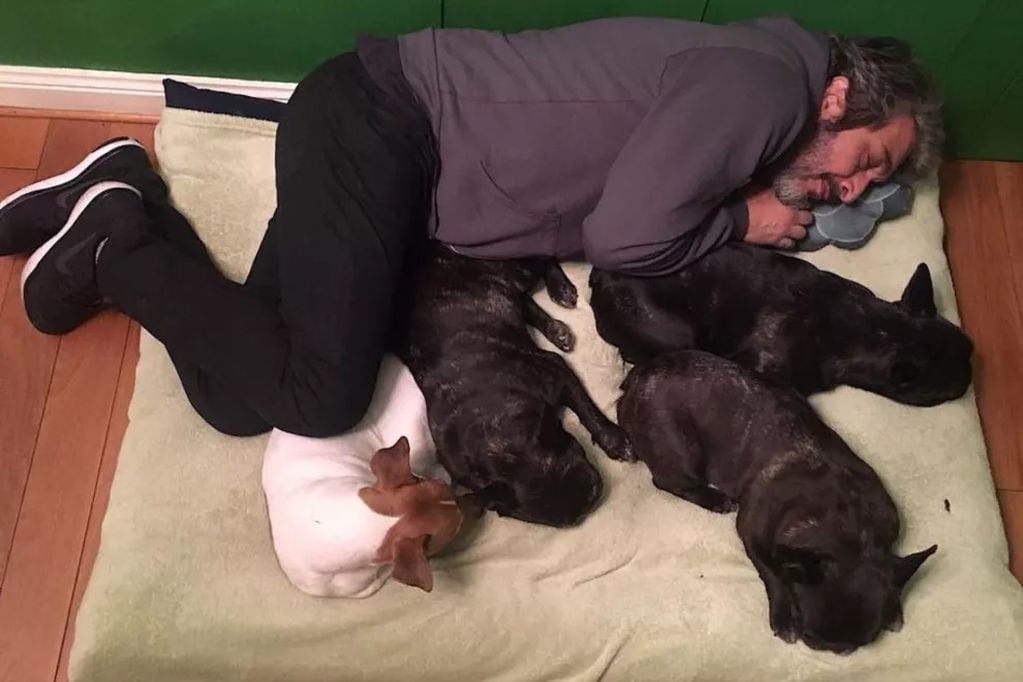 Ricardo Darín en un posteo de Instagram con todos sus perros