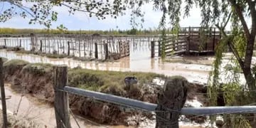 Inundación en San Rafael por la tormenta y pérdida de animales