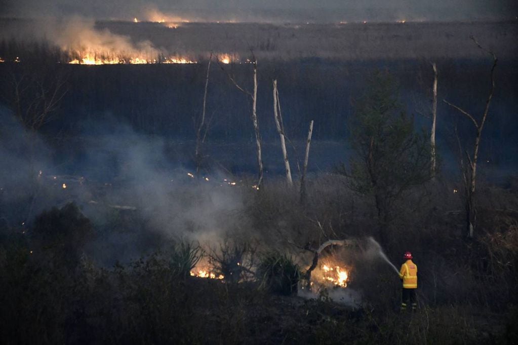 Más de 95.000 hectáreas se ven seriamente afectadas por el fuego.