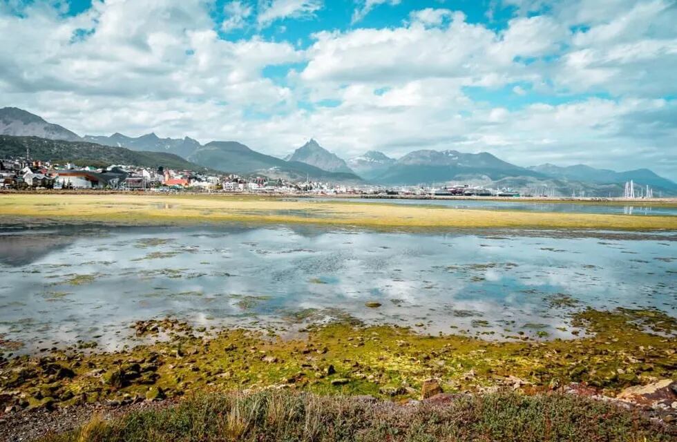 La aparición de algas verdes en las aguas de la Bahía Encerrada sorprendió a Ushuaia